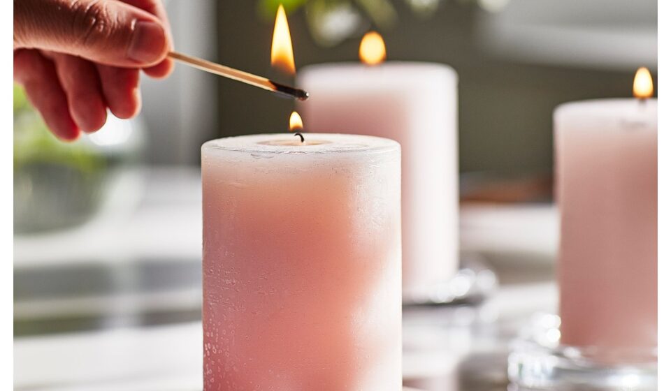 Tessa Young CSUF Obituary Death - California State University, Fullerton Student Passed Away